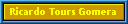 Ricardo Tours Gomera